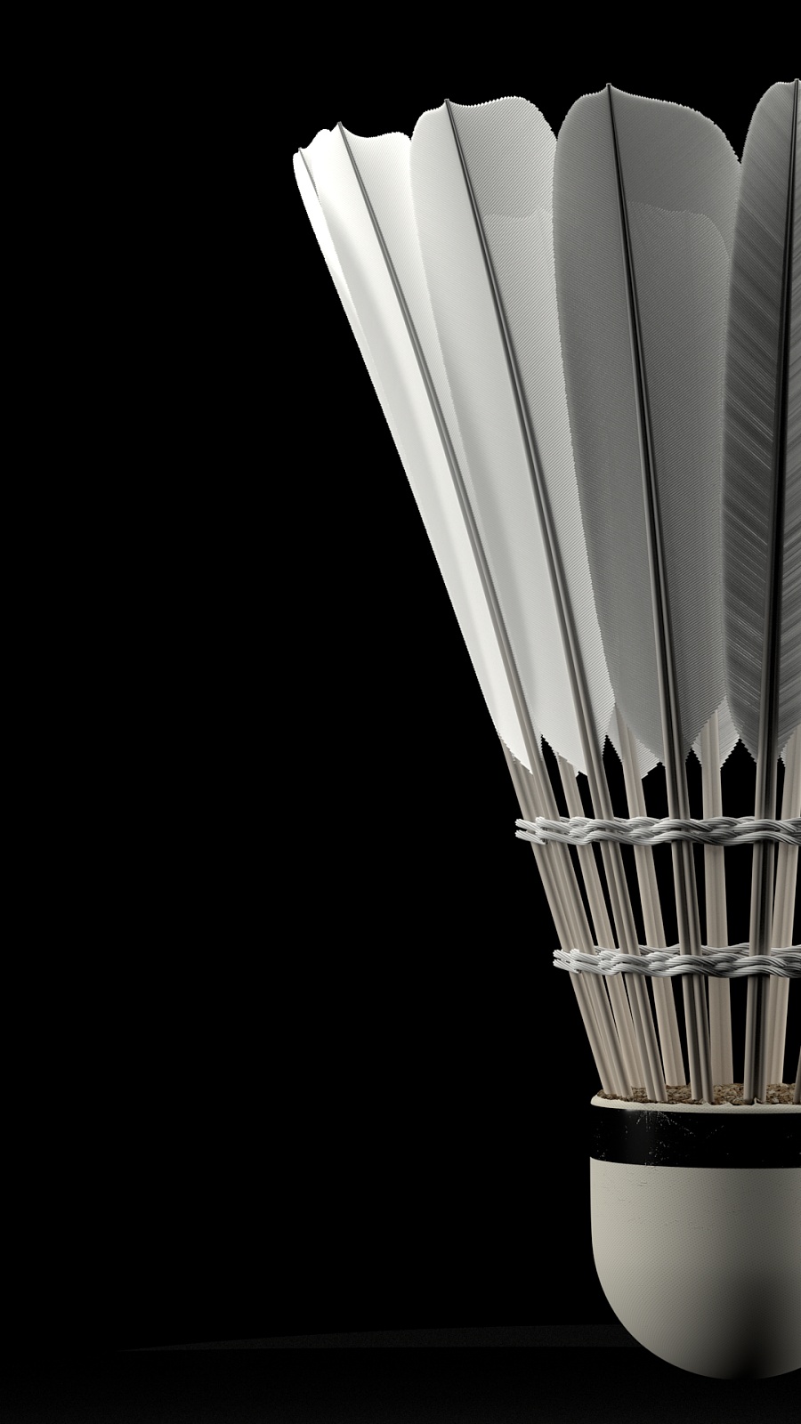 引人注目的 引人注目的