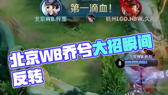 为她的职业 为她的职业